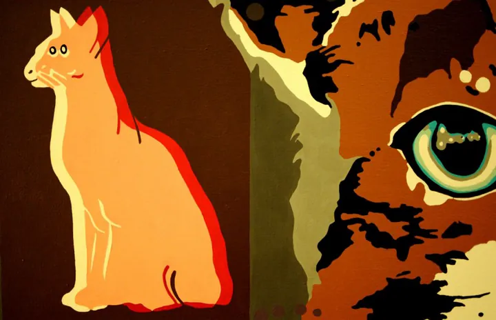 Detail of an orange cat silhouette and a close-up of a cat's eye