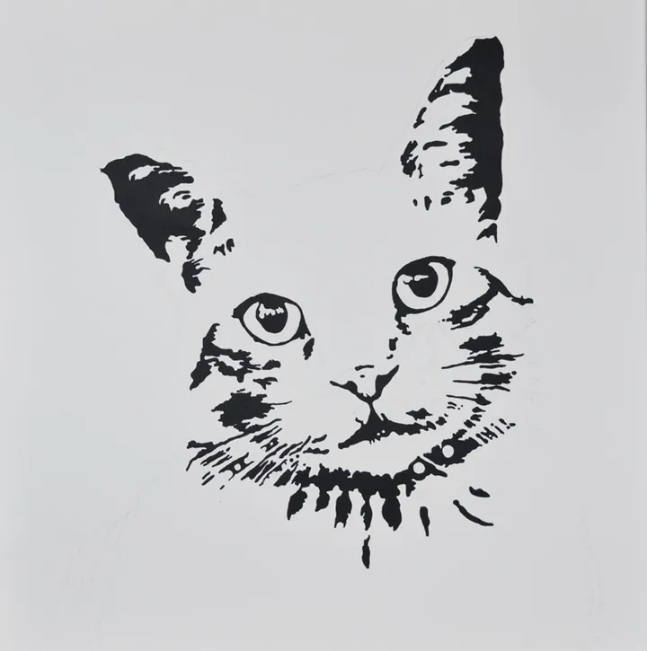 Black-and-white line study of the cat's face