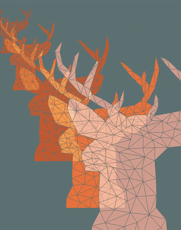 Orange and coral deer heads on a grey-teal background