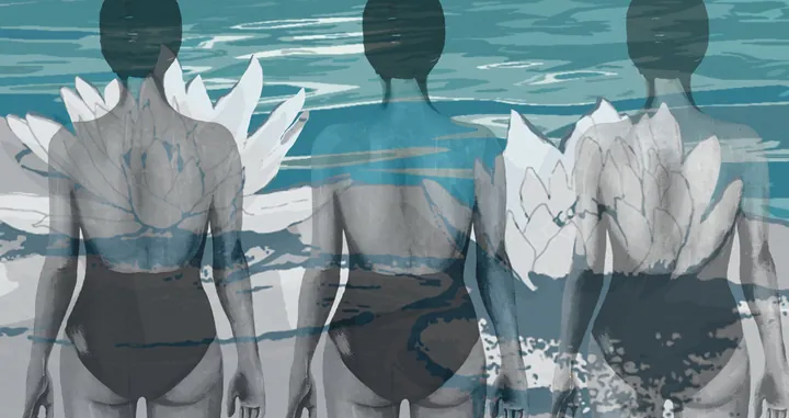 Three swimmers with white water lilies in grey and teal